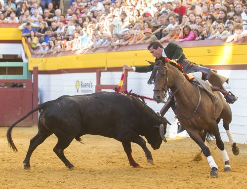 Más caballos que toros