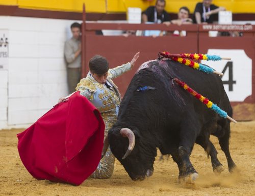 Aarón Palacio triomfador de la Setmana de Bous 2024